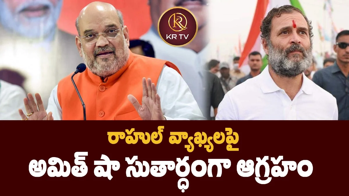 రాహుల్ వ్యాఖ్యలపై అమిత్ షా సుతార్ధంగా ఆగ్రహం